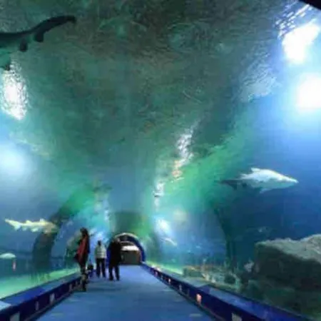 アパート Ruzafa Oceanograf Science Center *