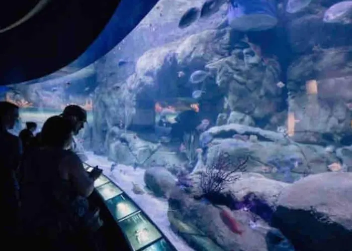 Ruzafa Oceanograf Science Center *