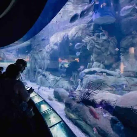 Ruzafa Oceanograf Science Center *